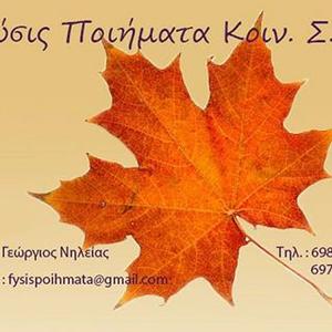 ΦΥΣΙΣ Ποιηματα Κοινσεπ