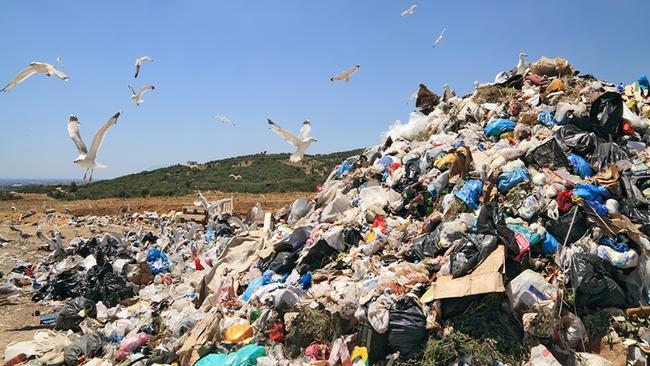 Έκθεση WWF: Η Ελλάδα εξακολουθεί να παραβιάζει το περιβαλλοντικό δίκαιο
