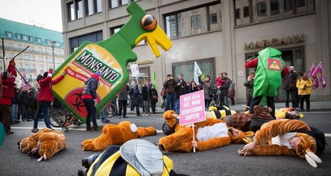 Έκθεση του Ευρωκοινοβουλίου αποκαλύπτει πως η άδεια της ΕΕ στη γλυφοσάτη βασίστηκε σε «copy-paste» εκθέσεων της Monsanto