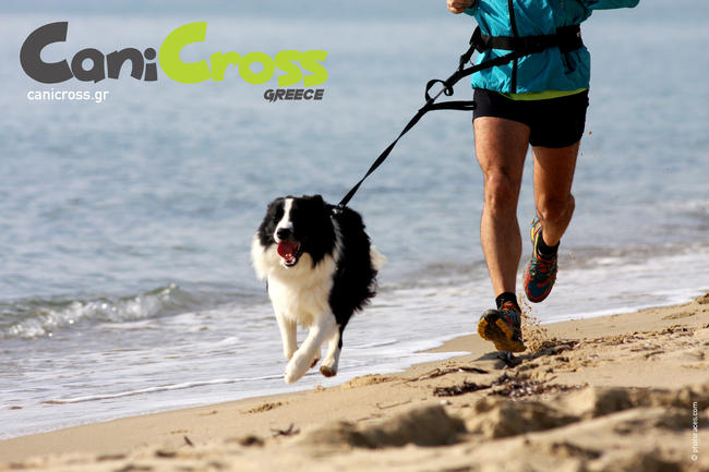 CaniCross: Ένα εντυπωσιακό άθλημα δρόμου off-road για ανθρώπους και σκυλιά!