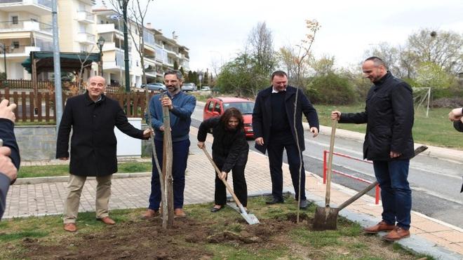 Κοζάνη: Φύτεψαν συμβολικά από ένα δένδρο για το μέλλον των περιοχών τους χωρίς λιγνίτη - άνθρακα