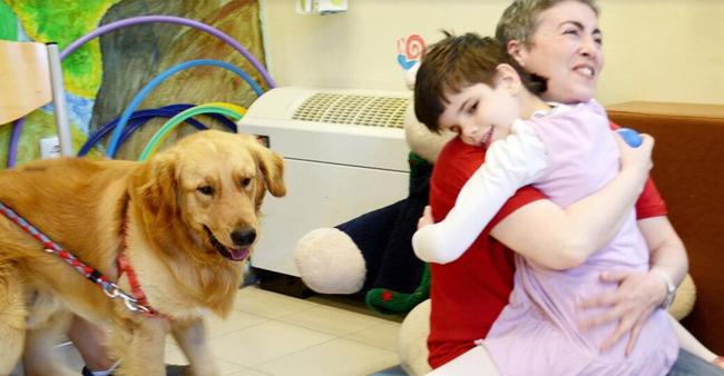 Θεραπεία με τη βοήθεια ζώων: εθελοντική δράση γεμάτη πατούσες, χάδια, γέλια