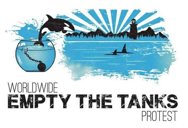 "Αδειάστε τις δεξαμενές"! Διαμαρτυρία στο Αττικό Πάρκο ενάντια στην αιχμαλωσία των δελφινιών