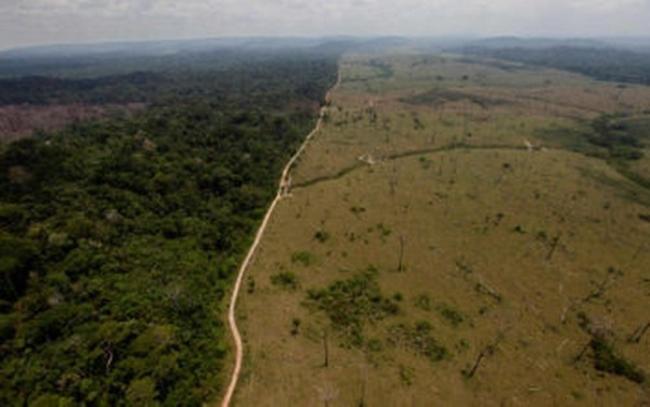 Ο Μπολσονάρο καταστρέφει τον Αμαζόνιο με τη συνενοχή της Ευρωπαϊκής Ένωσης