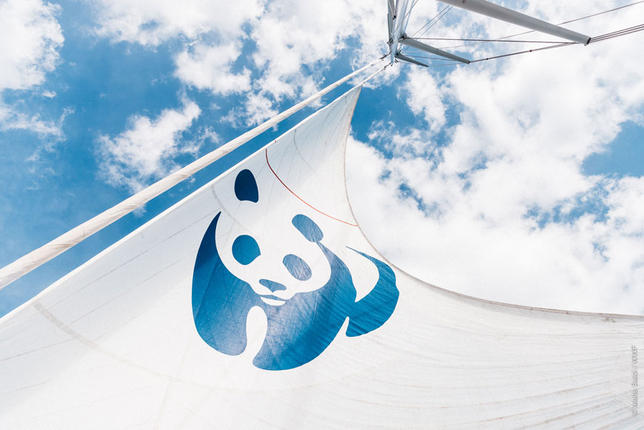 Ξεκινάει αύριο τον διάπλου της Μεσογείου το καράβι "Blue Panda" της WWF