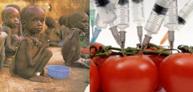 Έκθεση καταπέλτης του ΟΗΕ: Ο καπιταλισμός καταδικάζει τους λαούς στην πείνα και καταστρέφει το περιβάλλον
