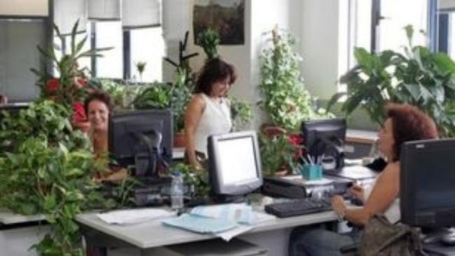 Μόνο ένα οκτάωρο δουλειά την εβδομάδα επαρκεί για να έχει κανείς τα ψυχικά οφέλη της απασχόλησης