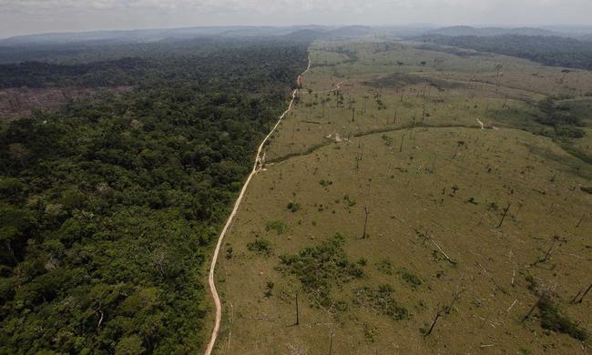 Αμαζόνιος: ο τελευταίος φυσικός πνεύμονας του πλανήτη καταστρέφεται με ραγδαίους ρυθμούς στη Βραζιλία του Μπολσονάρου