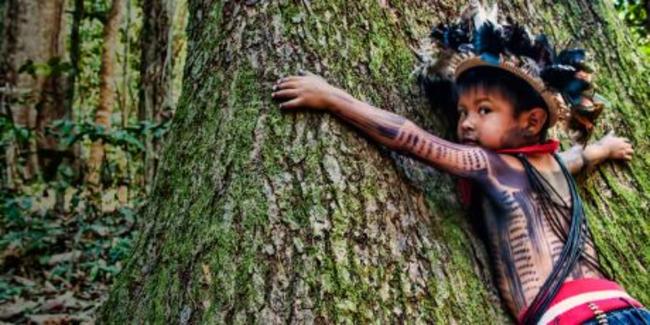 Υπογράφουμε εδώ - Δίνουμε τέλος στη λεηλασία του Αμαζονίου