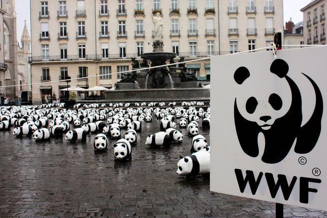 WWF Ελλάς προς Κ. Χατζηδάκη: "Προστατέψτε τη βιοποικιλότητα της χώρας"