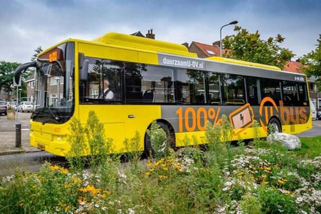 Ολλανδία: Μετέτρεψαν τις στάσεις των λεωφορείων σε κήπους για να βοηθήσουν τις μέλισσες