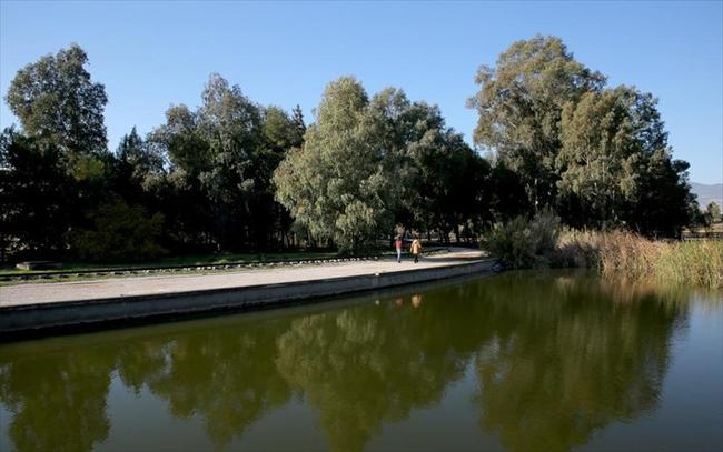 Στον εισαγγελέα Περιβάλλοντος ο Δήμος Ιλίου για τις εικόνες- σοκ στο πάρκο Τρίτση