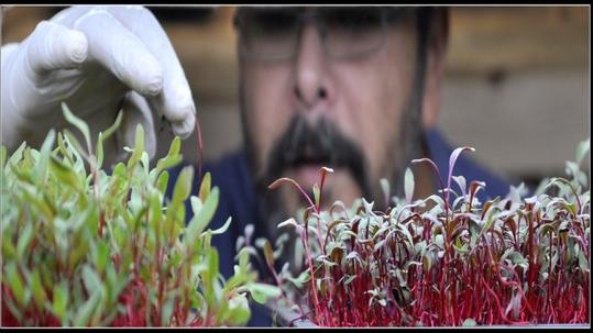 img113766_5003f75c2ac07d6fa57b7d8ccfef3e67