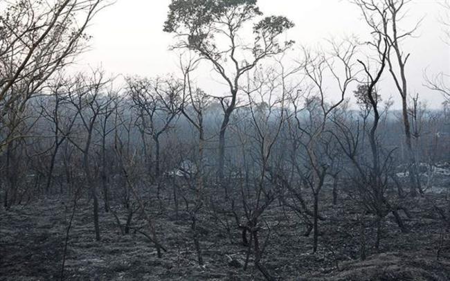Μετά τη Βραζιλία αντιμέτωπες με μεγάλες δασικές πυρκαγιές Βολιβία και Παραγουάη (χάρτης)
