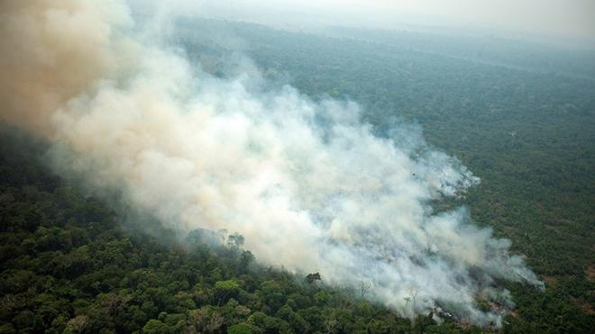Αμαζόνιος: Εκατοντάδες νέες φωτιές, η αγωνία μεγαλώνει