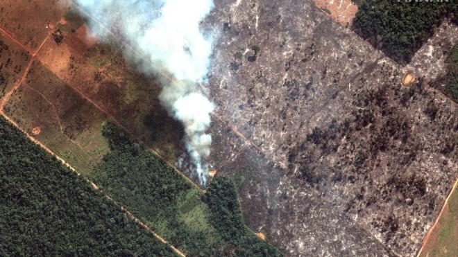 Η Βραζιλία αποδέχεται τελικά βοήθεια για τις φωτιές στον Αμαζόνιο
