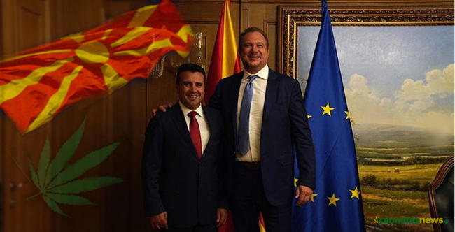 «Υπερδύναμη της κάνναβης στην Ευρώπη» επιθυμεί να γίνει η Βόρεια Μακεδονία
