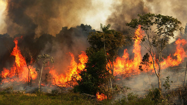 Ασταμάτητες οι πυρκαγιές στον Αμαζόνιο: Τα μέτωπα της φωτιάς συνεχίζουν να αυξάνονται και να επεκτείνονται