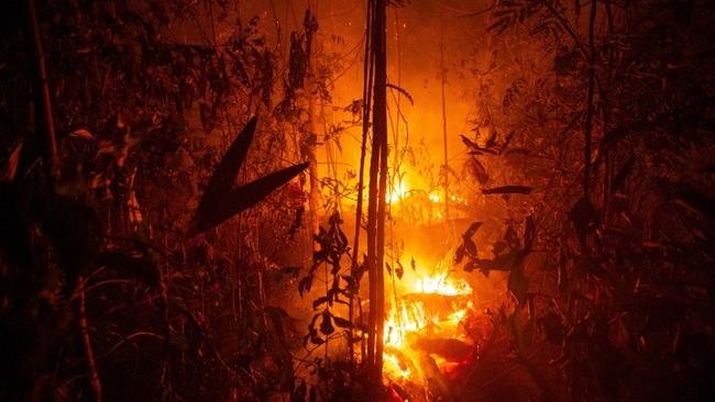 Πυρκαγιές στον Αμαζόνιο: Ποιοι και πως επωφελούνται από την καταστροφή του δάσους στη Βραζιλία;