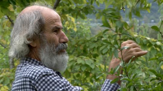 img11542_7db01f58f7fd1dd1037ee3d001b775ae