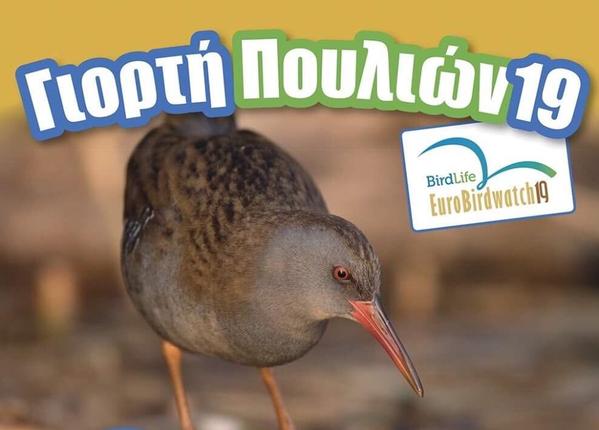 Ευρωπαϊκή Γιορτή Πουλιών 2019 - Εκδηλώσεις σε πλήθος περιοχών ανά την Ελλάδα και σε περισσότερες από 40 χώρες της Ευρώπης!
