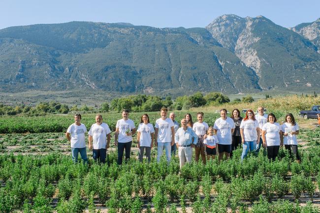 «Έλα να καλλιεργήσουμε στέβια»! Από 700 έως 800 ευρώ ανά στρέμμα - Ευοίωνες οι προοπτικές ανάπτυξης της καλλιέργειας