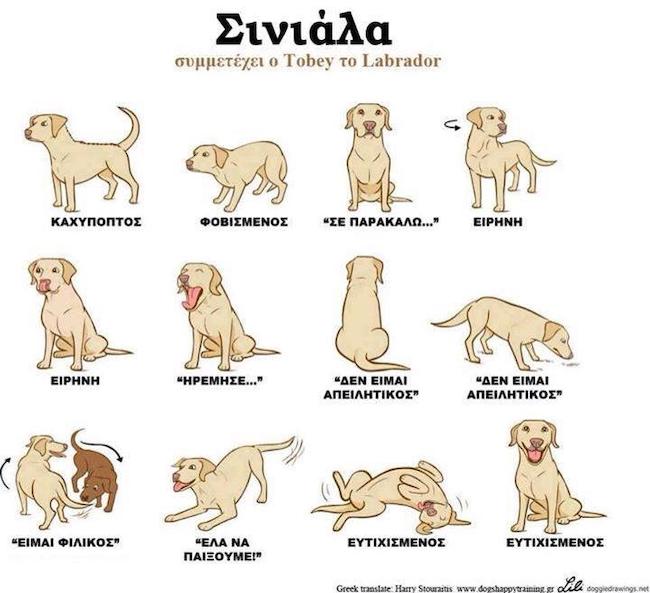 Σινιάλα - Τι σημαίνουν αυτά που σας "λέει" ο σκύλος σας