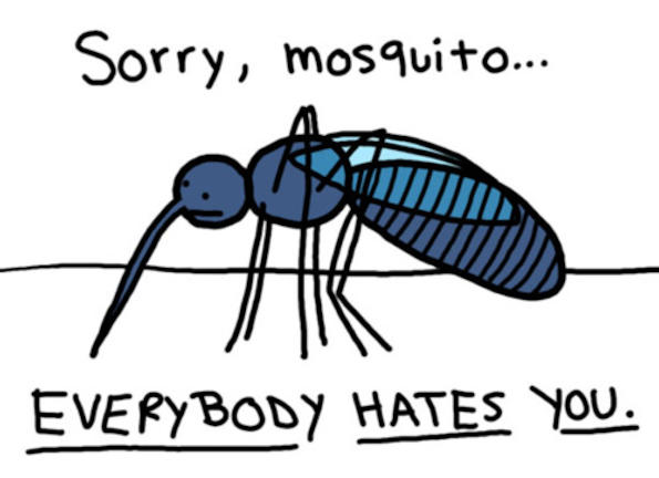 Πως μπορούμε να απομακρύνουμε τα κουνούπια από κοντά μας