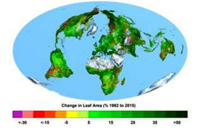 Το διοξείδιο του άνθρακα πρασινίζει τη γη;
