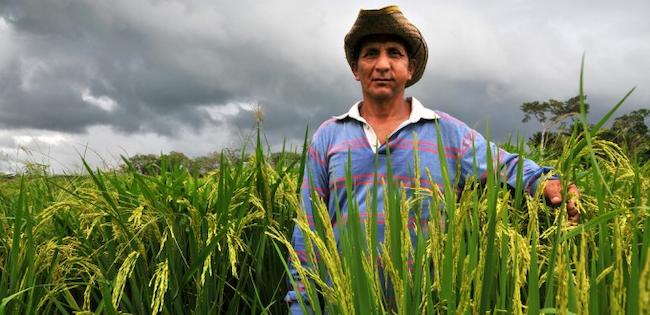 Η χώρα που θέλει να πετύχει διατροφική ανεξαρτησία έως το 2020 στηρίζοντας τους μικρούς παραγωγούς