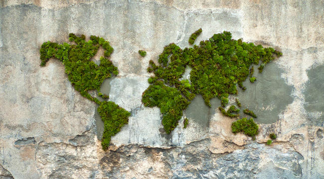 Παγκόσμια Ημέρα Περιβάλλοντος: Χάρτης με όλες τις δράσεις ανά την Ελλάδα