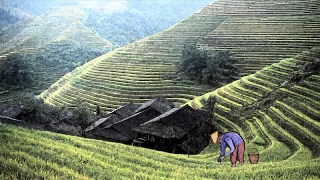 Η ιστορία του Κινέζου αγρότη (Animation)