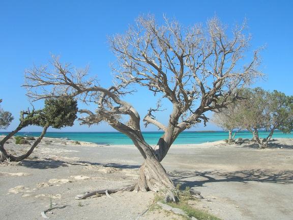 Ελαφονήσι: Το ιδιαίτερο νησάκι με τις εξωτικές λευκές παραλίες (ΦΩΤΟ)