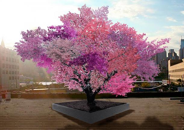 Δείτε το μοναδικό δέντρο στον κόσμο που παράγει 40 διαφορετικά φρούτα (ΒΙΝΤΕΟ)