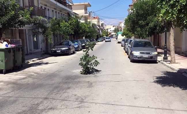 Φύτεψαν δέντρο σε λακούβα για να μην πέφτουν μέσα τα αυτοκίνητα (ΦΩΤΟ)