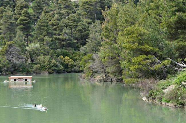 Μια άγνωστη λίμνη στους πρόποδες της Πάρνηθας (ΦΩΤΟ)