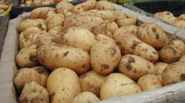 Τι κινδύνους κρύβει για την υγεία η "αθώα" πατάτα
