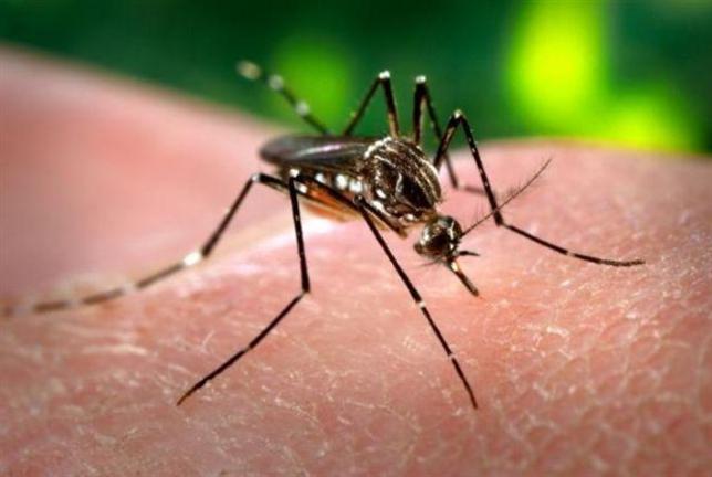ΙΣΑ: Το Υπουργείο Υγείας εξέθεσε τη χώρα σε κίνδυνο ελονοσίας