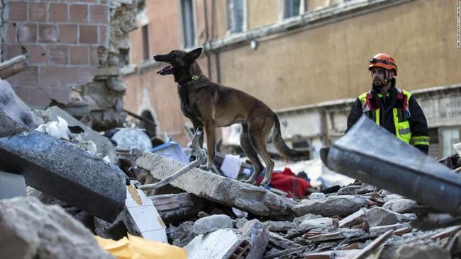Στους 247 οι νεκροί από τον φονικό σεισμό που εξαφάνισε τρία χωριά στην Ιταλία (ΦΩΤΟ)