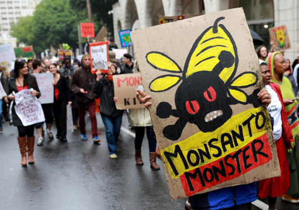 Monsanto: 6 ερωτήσεις για τα εγκλήματα απέναντι στους ανθρώπους και στο περιβάλλον