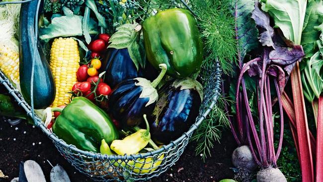 62η διάθεση προϊόντων χωρίς μεσάζοντες - Ηλεκτρονικές παραγγελίες