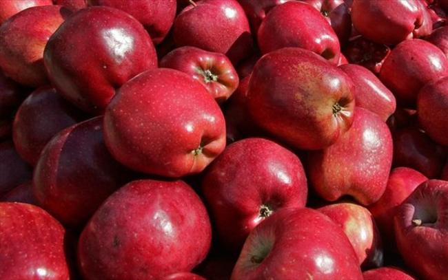 Δέσμευση σχεδόν 5 τόνων μήλων από τις αρχές