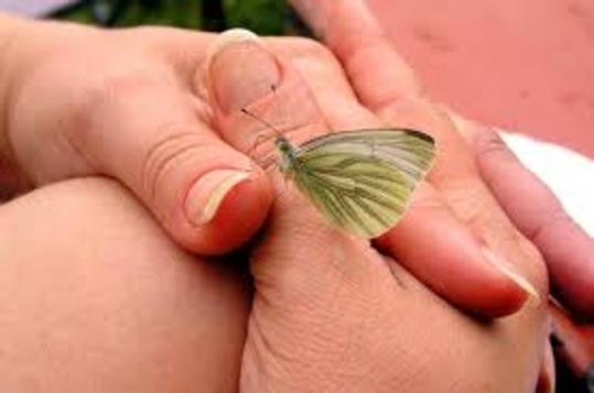 Συνεταιριστικό “μπουμ”