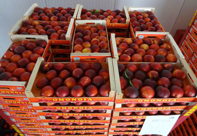 Εντυπωσιακή αύξηση στις εξαγωγές φρούτων και λαχανικών