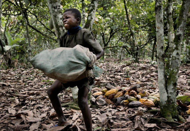 Παιδική σκλαβιά στη βιομηχανία της σοκολάτας