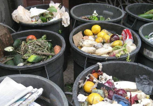 88 τόνοι τροφίμων στα σκουπίδια κάθε χρόνο