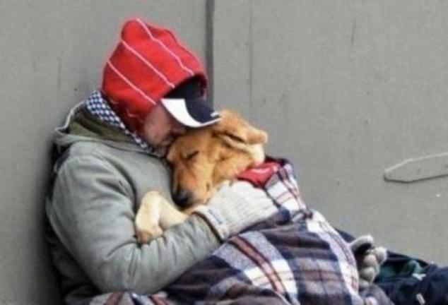 Ένα δωμάτιο για τον άστεγο Δημήτρη και τον σκύλο του: Υπάρχει;