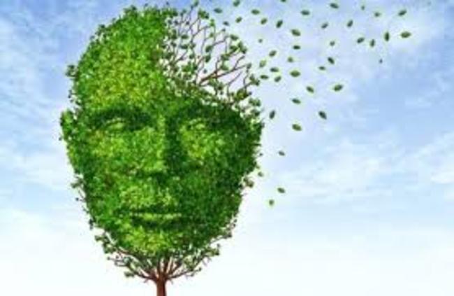 Νόσος Αλτσχάιμερ: Μήπως φταίει ο χαλκός;