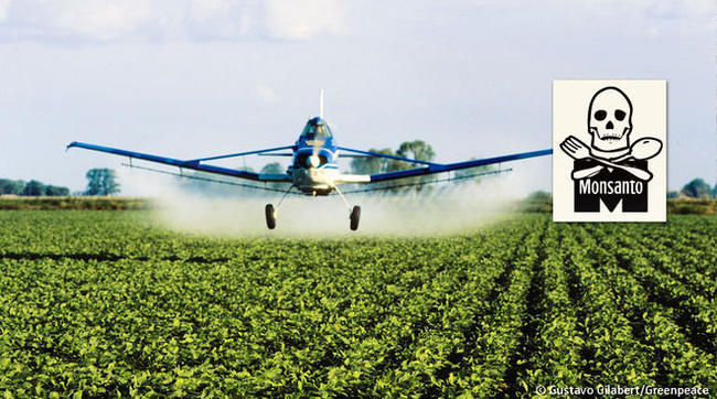 Μεταλλαγμένη σόγια της Monsanto στην Ευρώπη