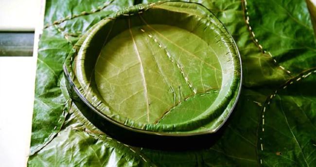 Μετατρέπουν φύλλα σε οικολογικά πιάτα και το αποτέλεσμα είναι υπέροχο! [ΦΩΤΟ-ΒΙΝΤΕΟ]